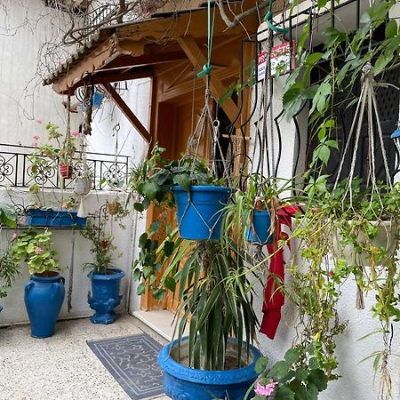 Casa Zitouna - Guest House - Kef, Tunisia El Kef Ngoại thất bức ảnh
