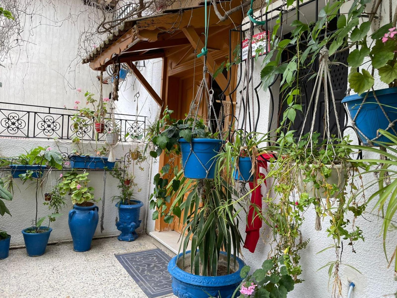 Casa Zitouna - Guest House - Kef, Tunisia El Kef Ngoại thất bức ảnh