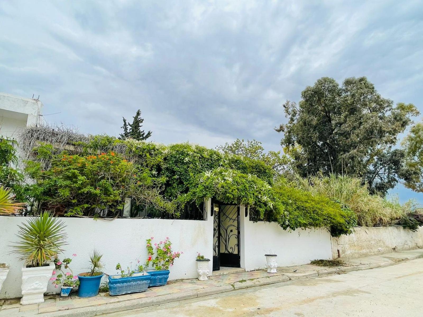 Casa Zitouna - Guest House - Kef, Tunisia El Kef Ngoại thất bức ảnh